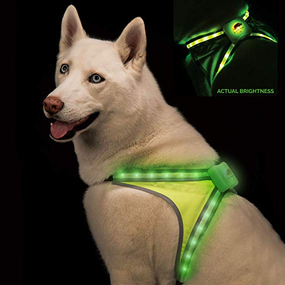 Blazin' Safety LED Dog Harness | 8 Colors Plus 6 Flashing Modes Reflective Light Vest | USB Rechargeable, Rainproof, Lightweight, Adjustable Sizing, Up to 15 Hour Runtime
