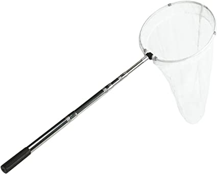 RESTCLOUD Insect and Butterfly Net with 12" Ring, 24" Net Depth, Strong Stainless Telescoping Handle Extends to 38 Inches
