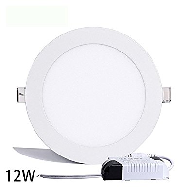 Round Ceiling Light,Hann Ultra-thin Recessed Downlight Lamp,LED Bathroom Bedroom Lighting Fixtures 12W 960lm,Warm White 3000K,80W Incandescent Equivalent,Cut Hole 6.1 Inch,AC100-120V,with LED Driver