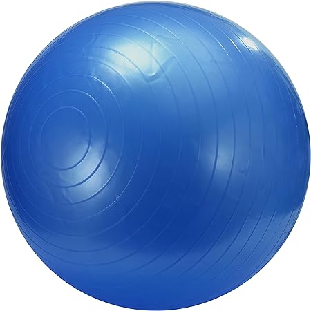 SteadyDoggie Exercise Ball Blue - Yoga Balance Ball for Pregnancy - Burst Resistant Swiss Exercise Ball - Exercise Workout Ball - Gym Balls Physical Therapy - Fitness Workout Sit Ball