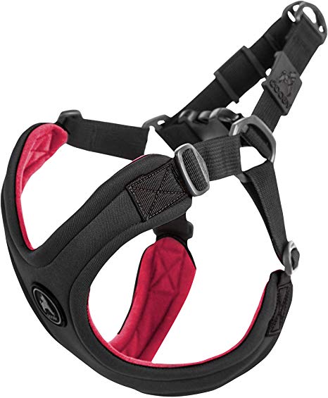Gooby - Escape Free Sport Harness, Small Dog Step-in Neoprene Harness for Dogs That Like to Escape Their Harness