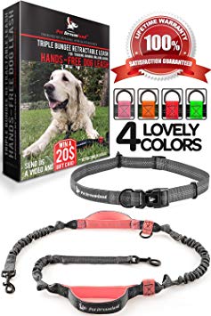 Pet Dreamland Hands Free Leash - For One/Two Medium to Large Dogs (up to 150lbs) - Running/Hiking/Dog Training - Heavy Duty Extra Long Bungee Lead - Waist Leashes for Dogs