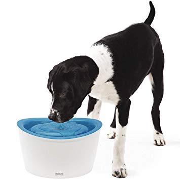 Dogit Fresh & Clear Drinking Fountain, Elevated Dog Water Dispenser, Original (Packaging May Vary)