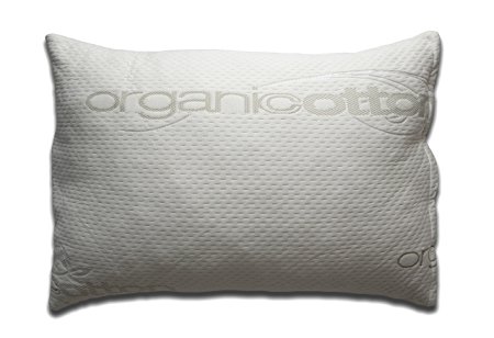 Queen Anne Contessa Latex Foam Pillow - Ultra Plush Adjustable Bead Fill - Naturally Hypoallergenic & Allergy Free - Organic Cotton - Made in USA (Standard)
