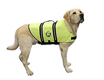 Paws Aboard Double Designer Doggy Life Jacket