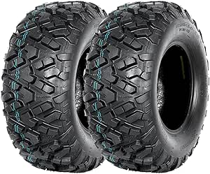 WEIZE 25x10-12 ATV Tires, 25 x10x12 Rear All Terrain Tire, 6PR, Mud, Gravel, Sand, Rocky and UTV Tires, Set of 2