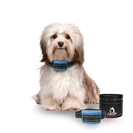 Our K9 “SAPPHIRE” 3lb to 30lb – Toy Breed to Small Dogs – Gentle Rounded Prongs - Ultrasonic & Vibration - Rechargeable - Pain Free Bark Collar – Easy to Use – Safety Features Built In – 100% Humane