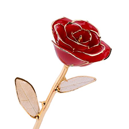 Real Rose Dipped in 24k Gold, Forever Preserved Long Stem Rose with Golden Leaf, Perfect Gift Idea for Her (Red)