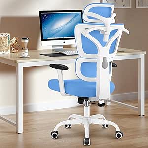 Winrise Office Chair, Ergonomic Desk Chair High Back Gaming Chair, Big and Tall Reclining chair Comfy Home Office Desk Chair Lumbar Support Breathable Mesh Computer Chair Adjustable Armrests(Sky Blue)