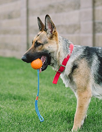 Heroes Dog Ball Launcher Thrower for Professional K-9 Training Sport Mental Conditioning Toy Tug 100% GUARANTEED! Increases Pet Obedience Behavior Thru Toss Fetch Retriever Thrower Agility Commands