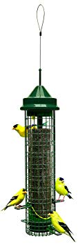 Squirrel Buster Finch 5.3"x5.3"x32" (w/hanger) Wild Bird Feeder with 4 Metal Perches and 8 Feeding Ports, 2.4lb Thistle/Nijer Seed Capacity