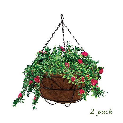 MTB Garden Hanging Baskets 16" S Style with Coco-Liner, Pack of 2,Hanging Planter Plant Hanger Hanging Flower Basket Chain Basket and Plant Growers for Home Balcony Patio Decoration