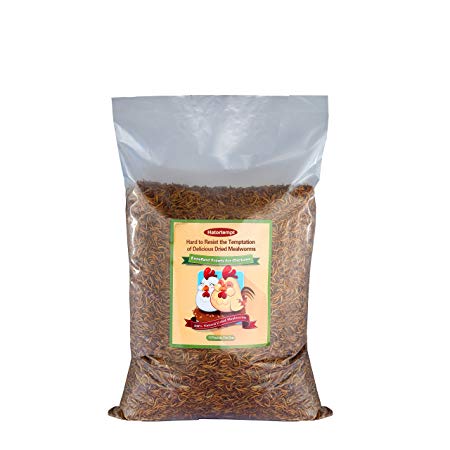 Gardenpt 100% Natrual Bulk Dried Mealworms 22 LB