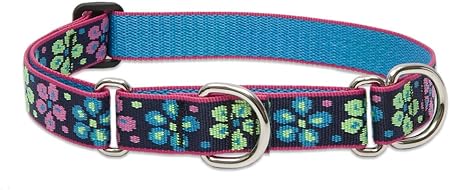 LupinePet Originals 1" Flower Power 19-27" Martingale Collar for Large Dogs