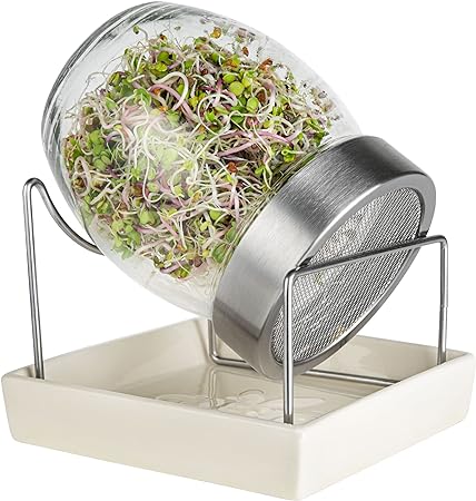 GEO Sprouting Jar - Italian Design - Glass Jar with Stainless Steel Screen, Stainless Steel Rim, Stainless Steel Stand on a Ceramic Base