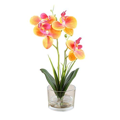 Dynabit Small Handmade Silk Artificial Flower Arrangements with Vase,Vivid Phalaenopsis Orchid Bonsai,Orange