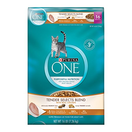 Purina ONE Tender Selects Chicken Dry Cat Food