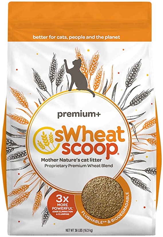 Swheat 787748740367 Scoop Premium Plus Cat Litter, 36lbs
