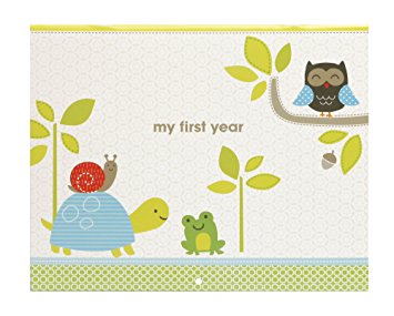 C.R. Gibson Baby's First Year Calendar, By Carter's, Stickers Provided, Measures 11 x 18" - Woodland