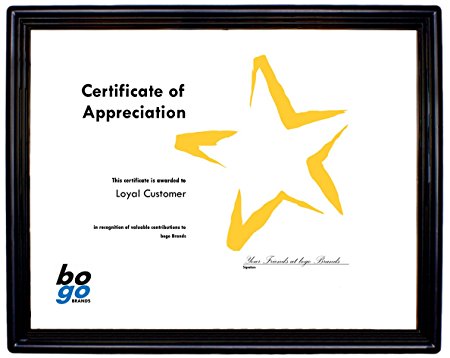 8.5 x 11 Inch Plastic Document Frame with Plastic Face - Economy Frames by bogo Brands (1)
