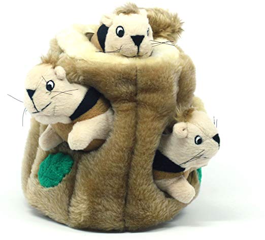 Kyjen Plush Puppies Hide a Squirrel Dog Toy