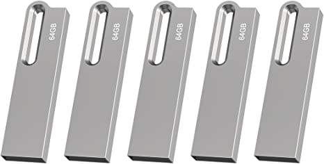 Aiibe 64GB Flash Drive 5 Pack Metal USB Drive Thumb Drive 64GB USB 2.0 Memory Stick Waterproof USB Flash Drives Jump Drive USB Stick with Keychain (64GB, Silver)