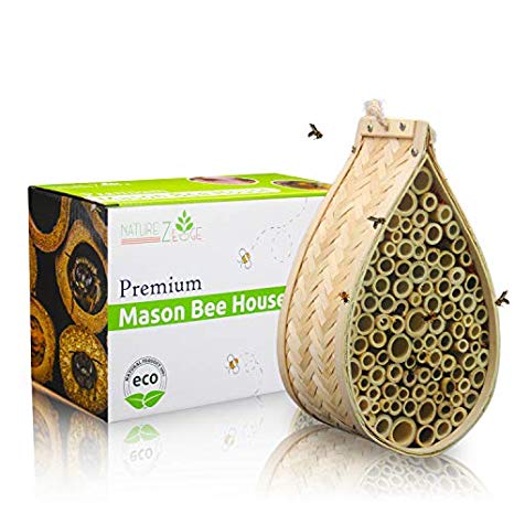 NatureZ Edge Mason Bee House | Natural Bamboo Mason Bee hive | Supercharge Your Garden by Attracting The Perfect Non-Aggressive Pollinator Bees | Bee Hotel