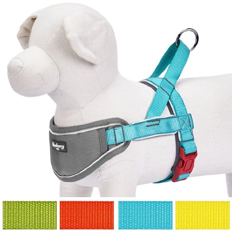 Blueberry Pet Harnesses 3M Reflective Strips Nylon Solid Color Neoprene Padded Anti/No-pull Adjustable Dog Training Harness