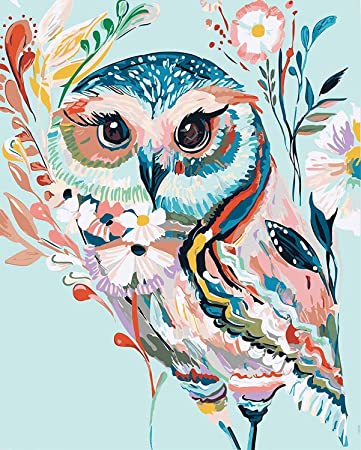 Paint by Number Kit On Canvas for Adults Beginner 16X20 Inch Give for Mother (Rainbow Owl)