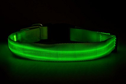 Great-Dealz LED dog Collar to Keep Your Dog Safe – Money Back Guarantee – High Quality Flashing Dog Collar with Extra Batteries – Your Best Friend Deserves Safe Night Walks
