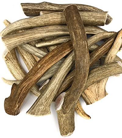 CZ Grain Deer Antlers for Dogs, Premium, Grade A, Deer Antler Dog Chew, Long Lasting Dog Treat for Your Pet. from The USA