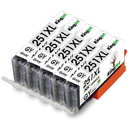 Kingjet CLI-251XL Gray Ink Tank Replacement 5 Pack Compatible with PIXMA MG6320 MG7120 MG7520 IP8720 All-In-One Printer (5x GY)