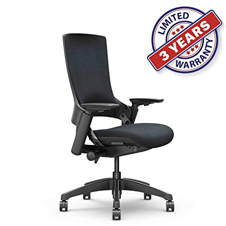 Ergonomic High Swivel Executive Chair with Adjustable Height 3D Arm Rest Lumbar Support and Upholstered Back for Home Office (Black) New Version