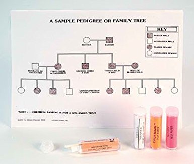 Human Genetics Taste Paper Set