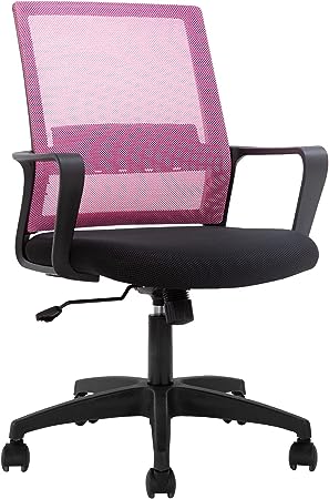FDW Home Office Chair Ergonomic Desk with Lumbar Support Armrests Mid-Back Mesh Computer Executive Adjustable Rolling Swivel Task (Pink)