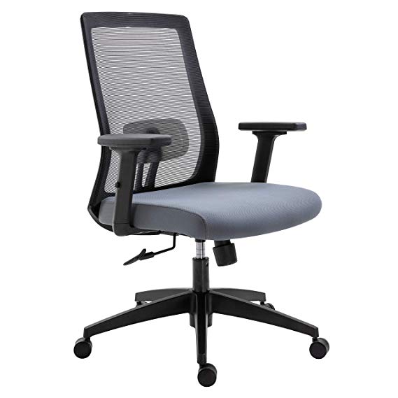 Cherry Tree Furniture Mesh Fabric Desk Chair Office Chair with Adjustable Armrests & Lumbar Support (Grey, Without Headrest)