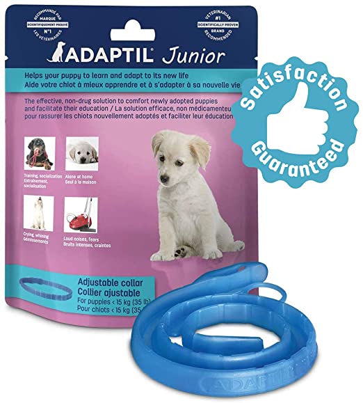 ADAPTIL Junior Calming Collar for Puppies - Reduce Crying & Whining and Improve Focus & Learning – Dog Appeasing Pheromone Collar - (Puppy Calming Collar, 1 Month Single Pack)