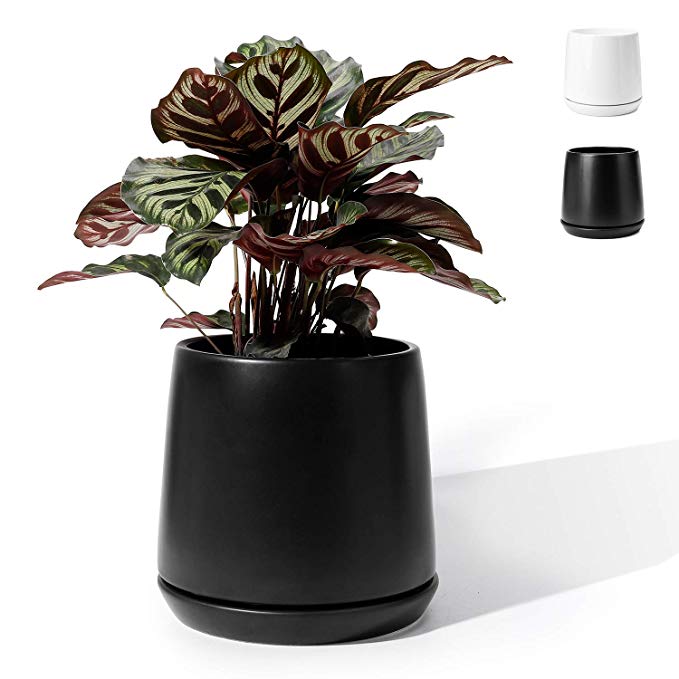 POTEY Plant Pot for Plants Flower- 5.7 Inch Black Ceramic Glazed Planters Bonsai with Drainage Hole & Saucer(Plant NOT Included)