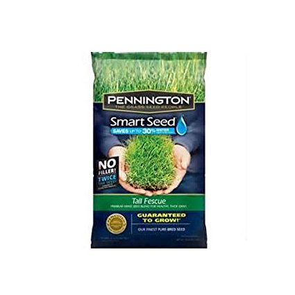 Pennington 100086830 Smart Seed Tall Fescue Premium Grass Seed Blend, 3-Pound