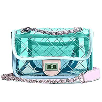 Donalworld Girl Clear Bag Small Flap Quilted Chain Strap Crossbody Bag