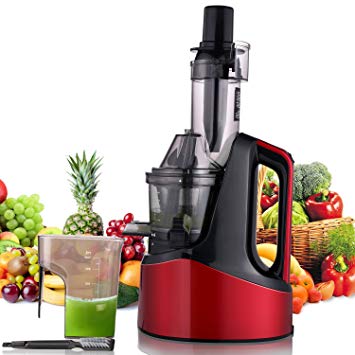 Slow Masticating Juicer Extractor, Cold Press Juicer Machine with Brush to Clean Conveniently High Nutrient Fruit and Vegetable Juice (Red)