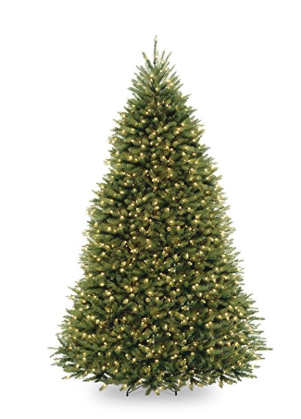 National Tree 9-Feet Dunhill Fir Tree, Hinged, 900 Clear Lights (DUH-90LO)