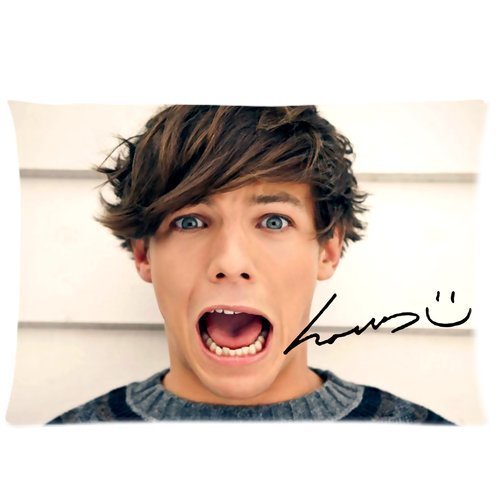 Funny Louis Tomlinson 1D One Direction Custom Zippered Pillowcase Pillow Cases Cover 20x30 (Twin sides)