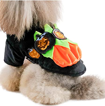 Pintimi Dog Cat Halloween Pumpkin Costume Pet Cosplay Costumes Animal Autumn Winter Clothes XS-XXL