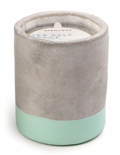 Paddywax Urban Collection Soy Wax Candle In Concrete Pot, Sea Salt & Sage