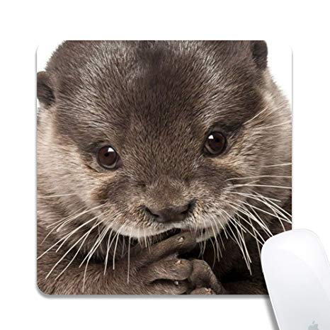 Computer Baby Otter Square Mouse Pad (7.8x7.8 Inch), Printed Rubber Desk Accessories Mouse Mat