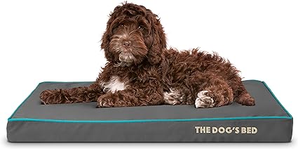 The Dog’s Bed Orthopedic Memory Foam Dog Bed, Medium Grey with Blue 34x22, Pain Relief for Arthritis, Hip & Elbow Dysplasia, Post Surgery, Lameness, Supportive, Calming, Waterproof Washable Cover