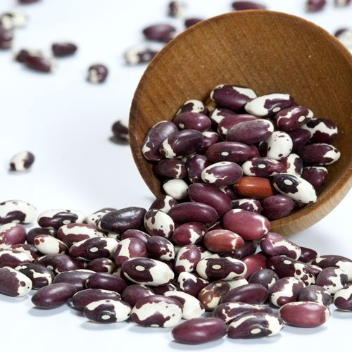 Anasazi Beans - Dry - 1 bag - 2 LBS
