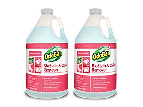 OdoBan Professional Cleaning and Odor Control Solutions, Ready-to-Use Biostain and Odor Remover, 2 Gal
