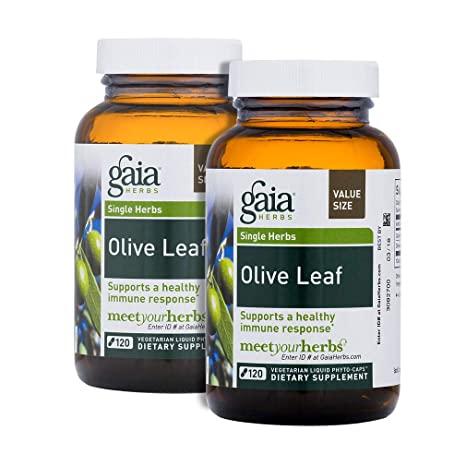 Gaia Herbs Olive Leaf 120 VCaps (Pack of 2)